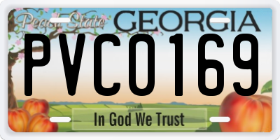 GA license plate PVC0169