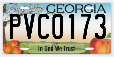 GA license plate PVC0173