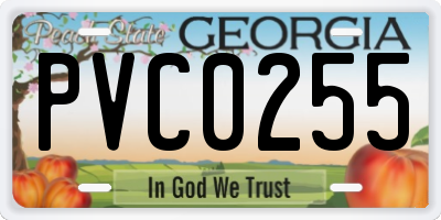 GA license plate PVC0255