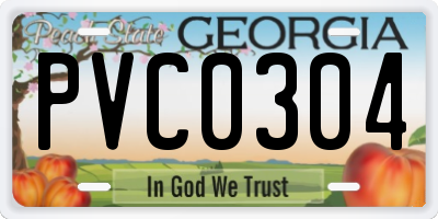 GA license plate PVC0304