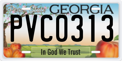 GA license plate PVC0313