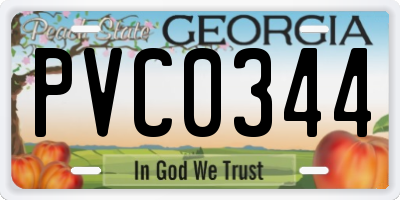 GA license plate PVC0344