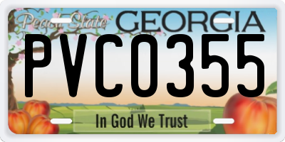 GA license plate PVC0355