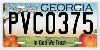GA license plate PVC0375