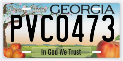 GA license plate PVC0473