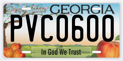 GA license plate PVC0600