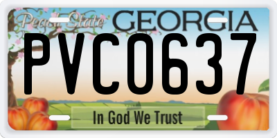 GA license plate PVC0637