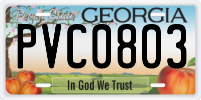 GA license plate PVC0803