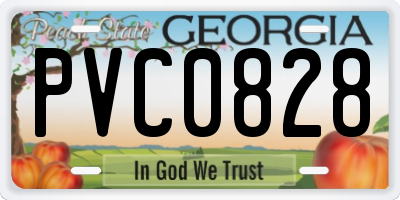 GA license plate PVC0828