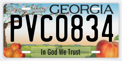 GA license plate PVC0834