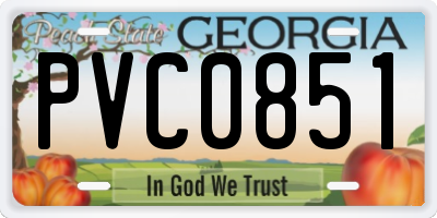 GA license plate PVC0851