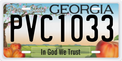 GA license plate PVC1033