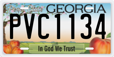 GA license plate PVC1134