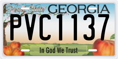 GA license plate PVC1137