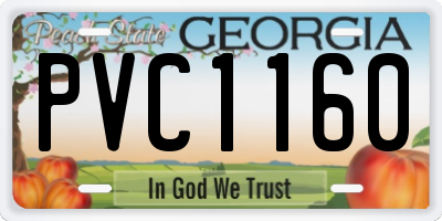 GA license plate PVC1160