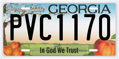 GA license plate PVC1170