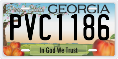 GA license plate PVC1186