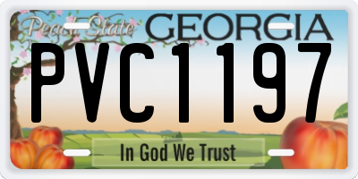 GA license plate PVC1197