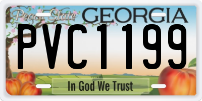 GA license plate PVC1199