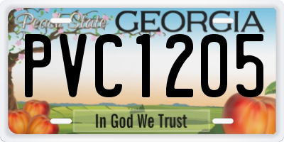 GA license plate PVC1205