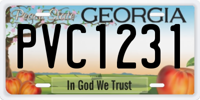 GA license plate PVC1231