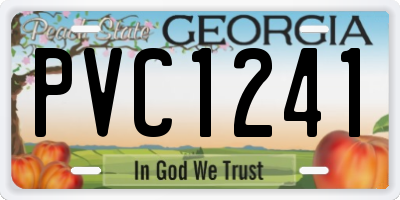 GA license plate PVC1241