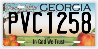 GA license plate PVC1258