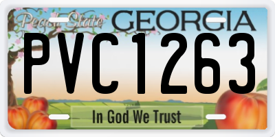 GA license plate PVC1263