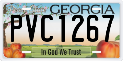 GA license plate PVC1267
