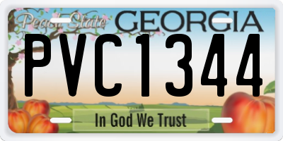 GA license plate PVC1344