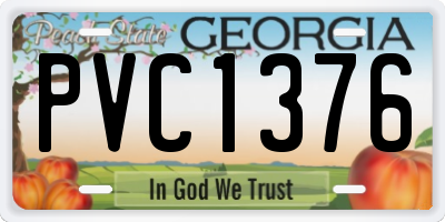 GA license plate PVC1376