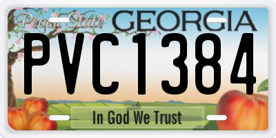 GA license plate PVC1384