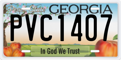 GA license plate PVC1407