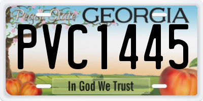GA license plate PVC1445