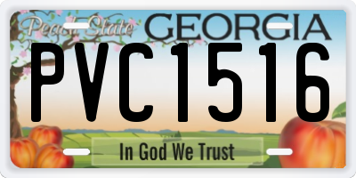 GA license plate PVC1516