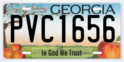 GA license plate PVC1656
