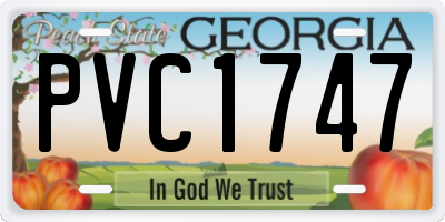 GA license plate PVC1747