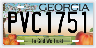 GA license plate PVC1751