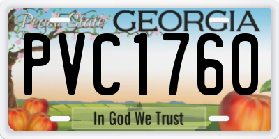 GA license plate PVC1760