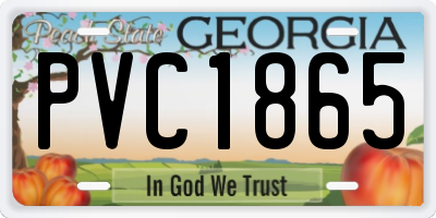 GA license plate PVC1865