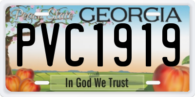 GA license plate PVC1919