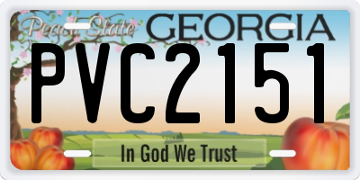 GA license plate PVC2151