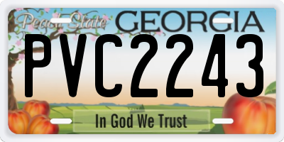 GA license plate PVC2243