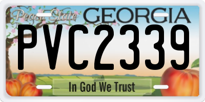 GA license plate PVC2339