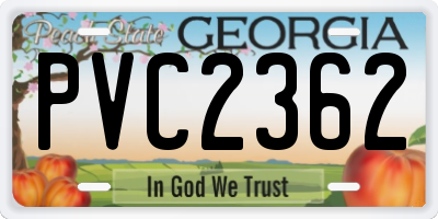 GA license plate PVC2362