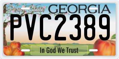 GA license plate PVC2389