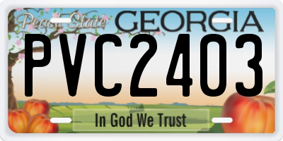 GA license plate PVC2403