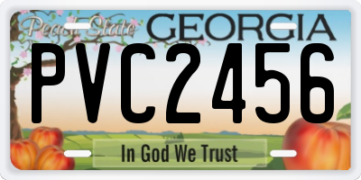 GA license plate PVC2456