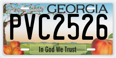 GA license plate PVC2526