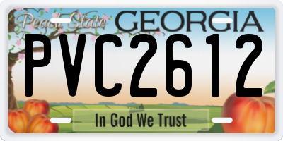 GA license plate PVC2612